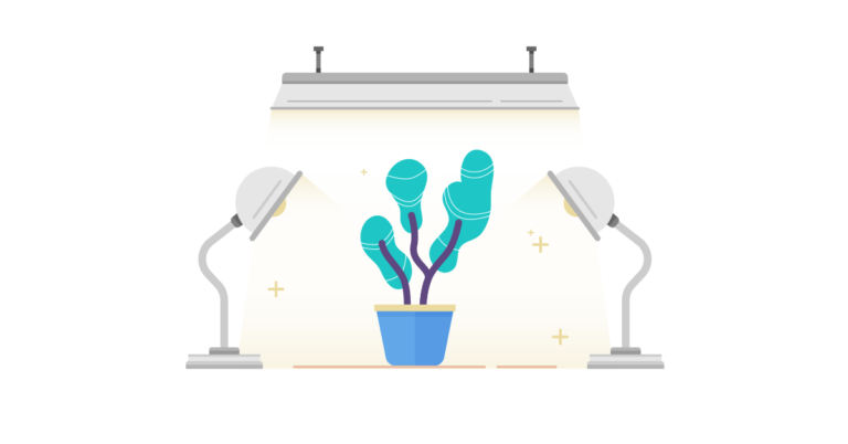 Growth Hacking and Web Marketing | Differences
